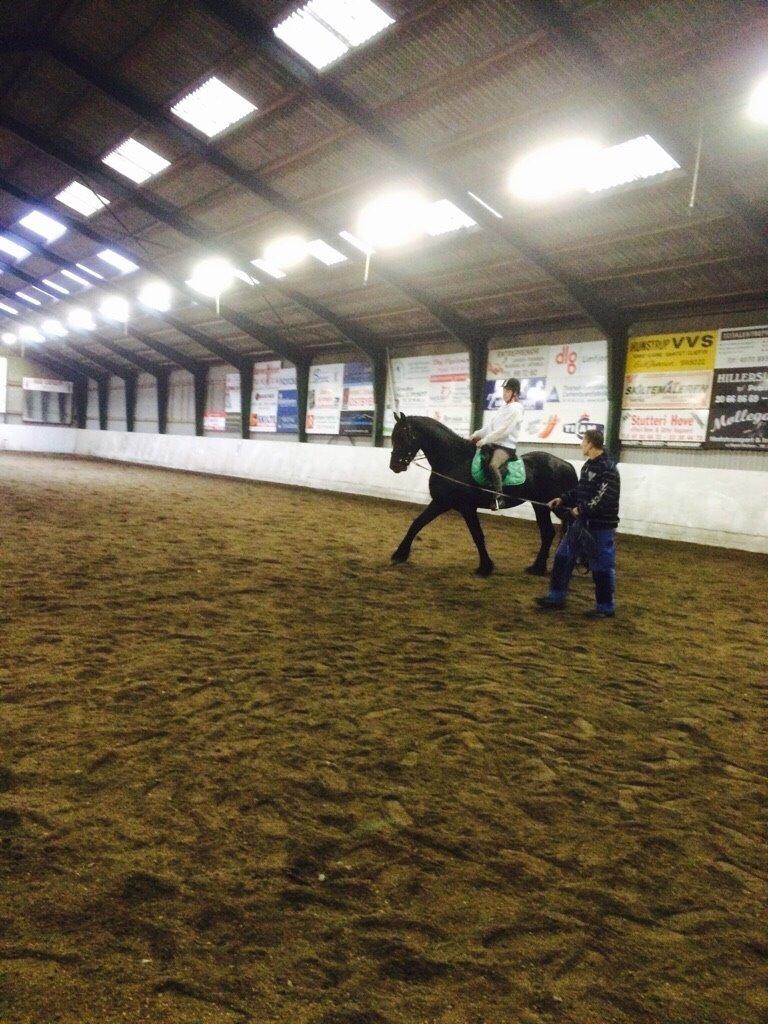 Frieser Oege S billede 15