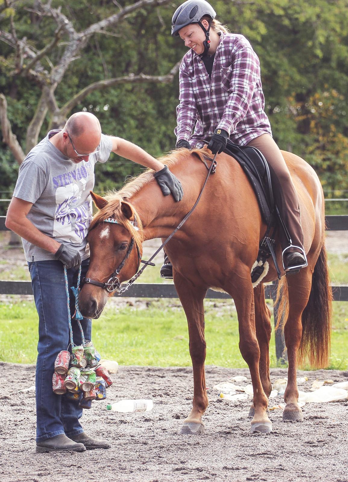 Palomino Pedro de la rosa billede 5