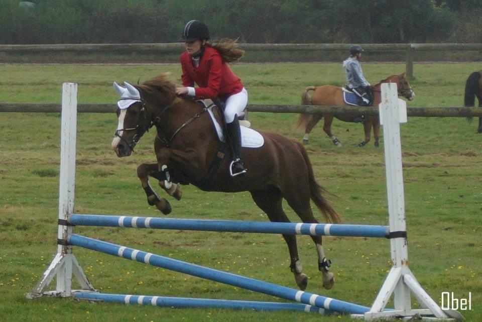 Anden særlig race Hanna Montana billede 1