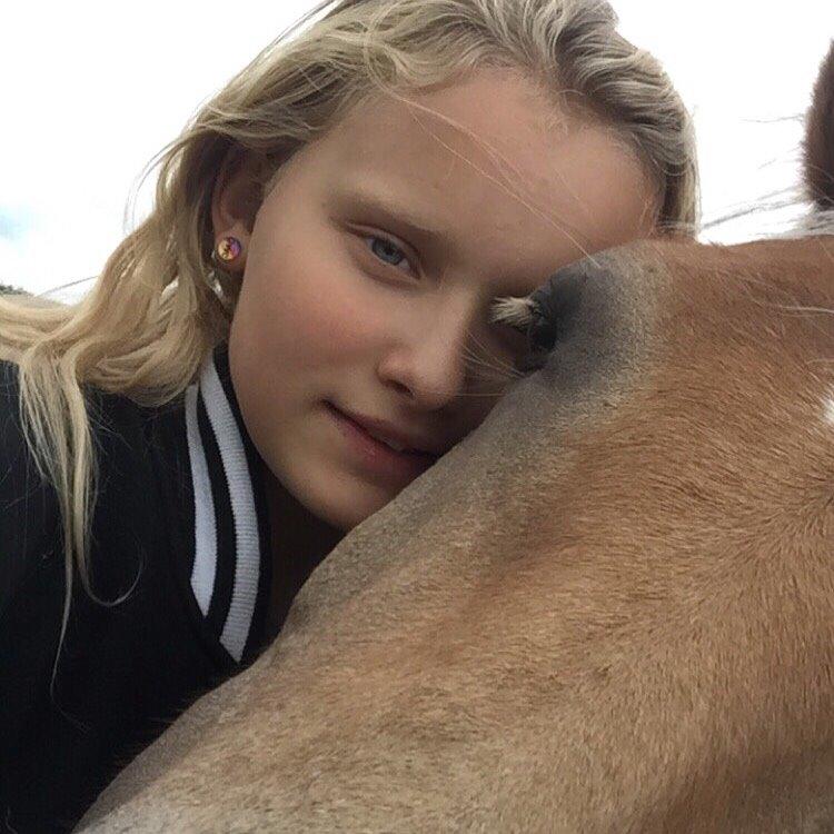 Haflinger Tessie (Tess) billede 10