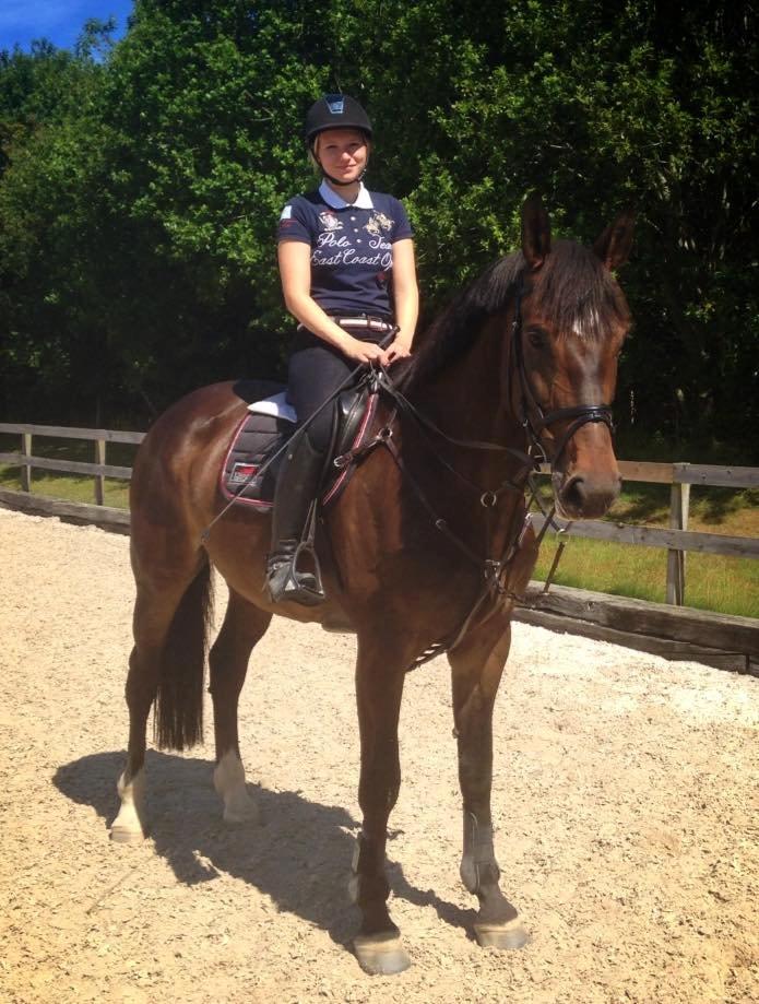 Svensk Varmblod Garinja billede 4