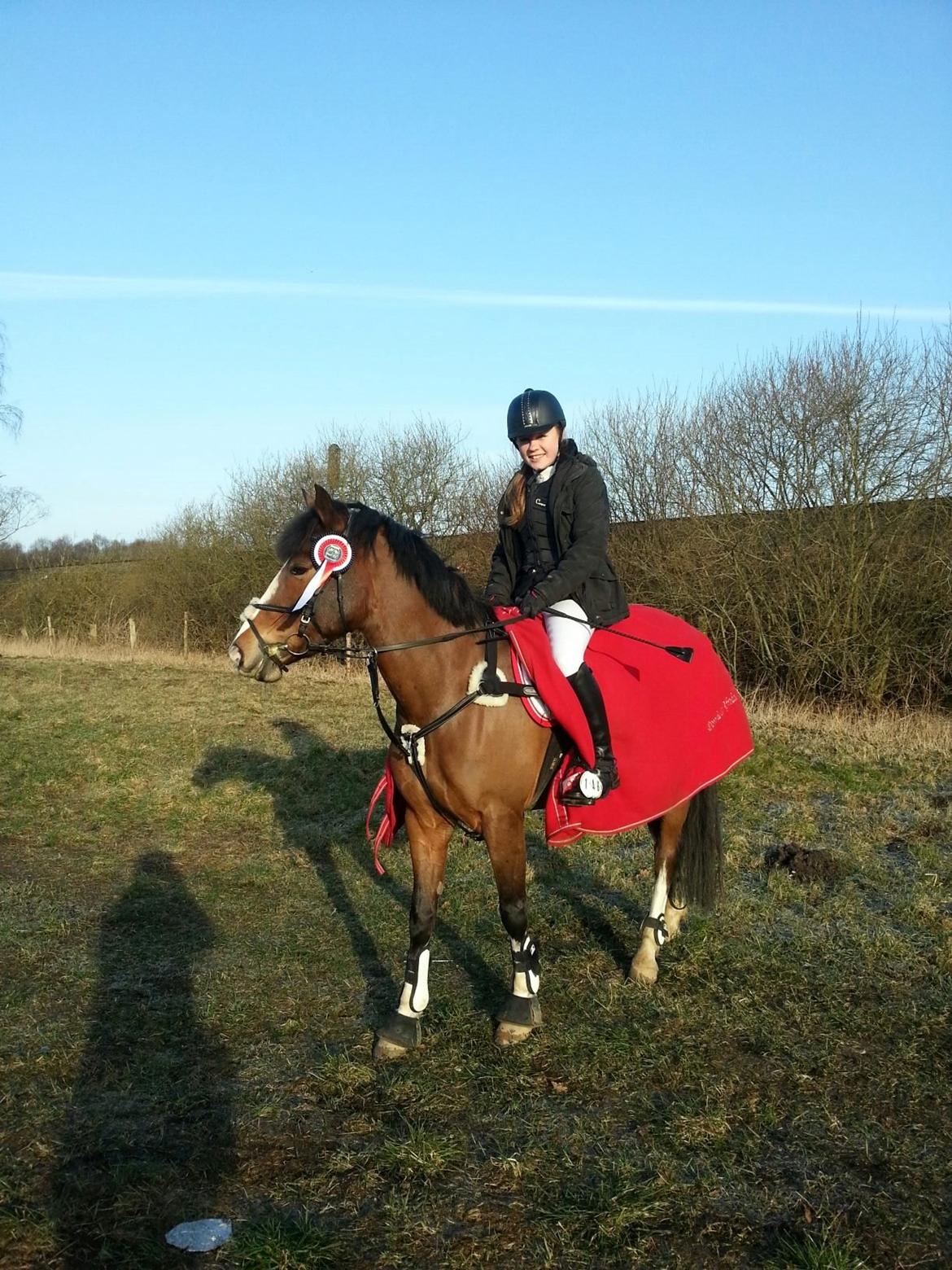 DSP Fjordglimt's afrodite - C-stævne på Kalle d. 14 Marts 2015 billede 4