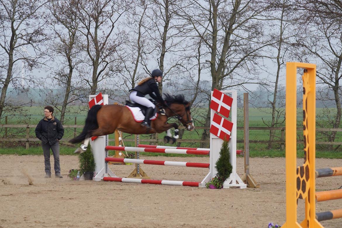 DSP Fjordglimt's afrodite billede 5