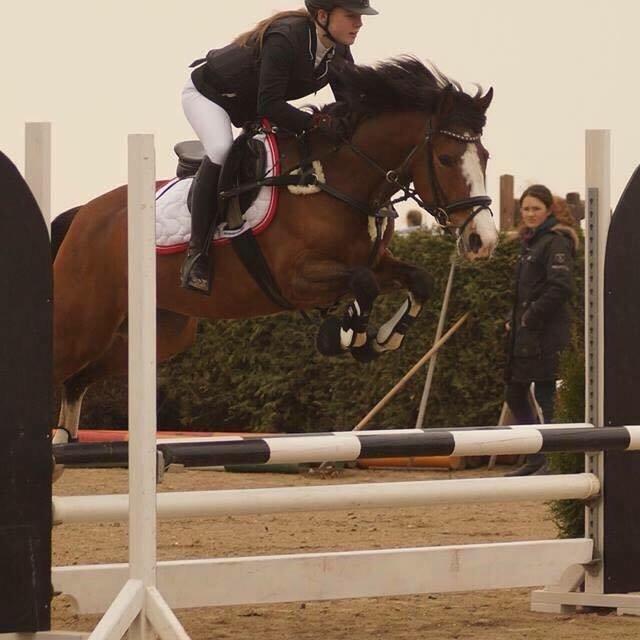 DSP Fjordglimt's afrodite billede 7