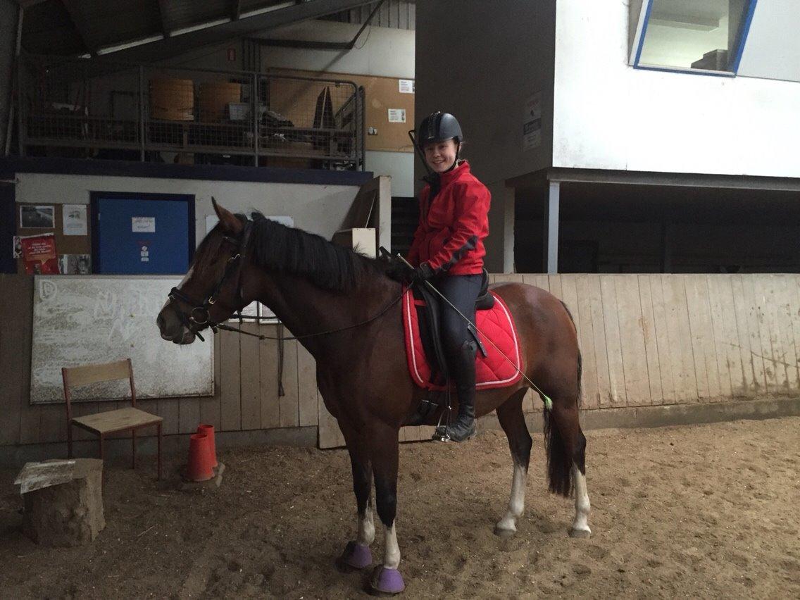 DSP Fjordglimt's afrodite - Fra genoptræningen 2015 billede 6