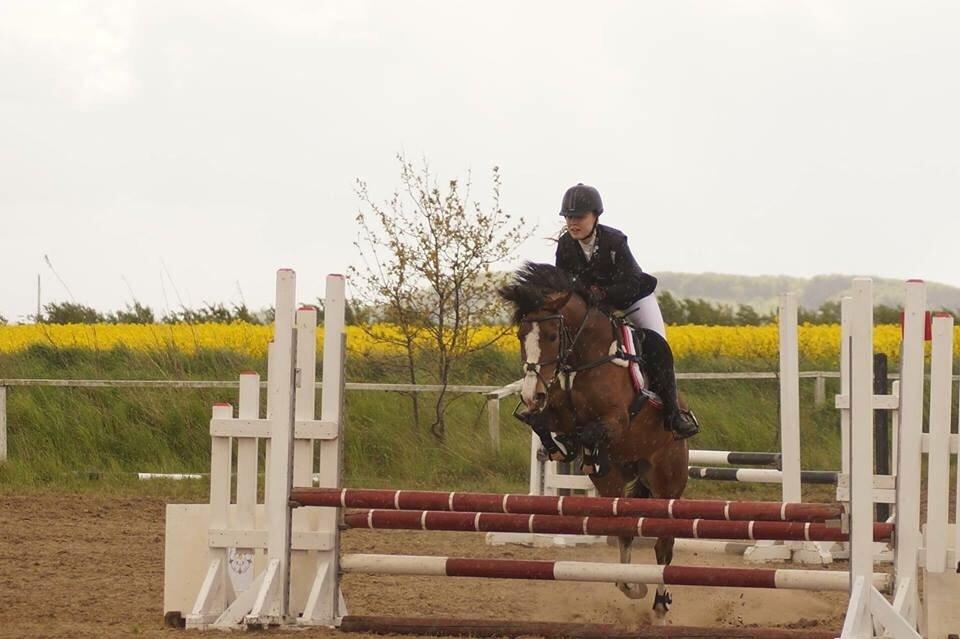 DSP Fjordglimt's afrodite - 3. LB1* og en 2. plads billede 9