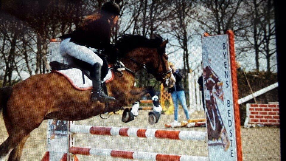 DSP Fjordglimt's afrodite billede 10