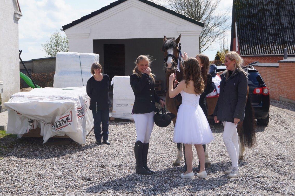 DSP Fjordglimt's afrodite - Konfirmation 1. Maj 2015 billede 13