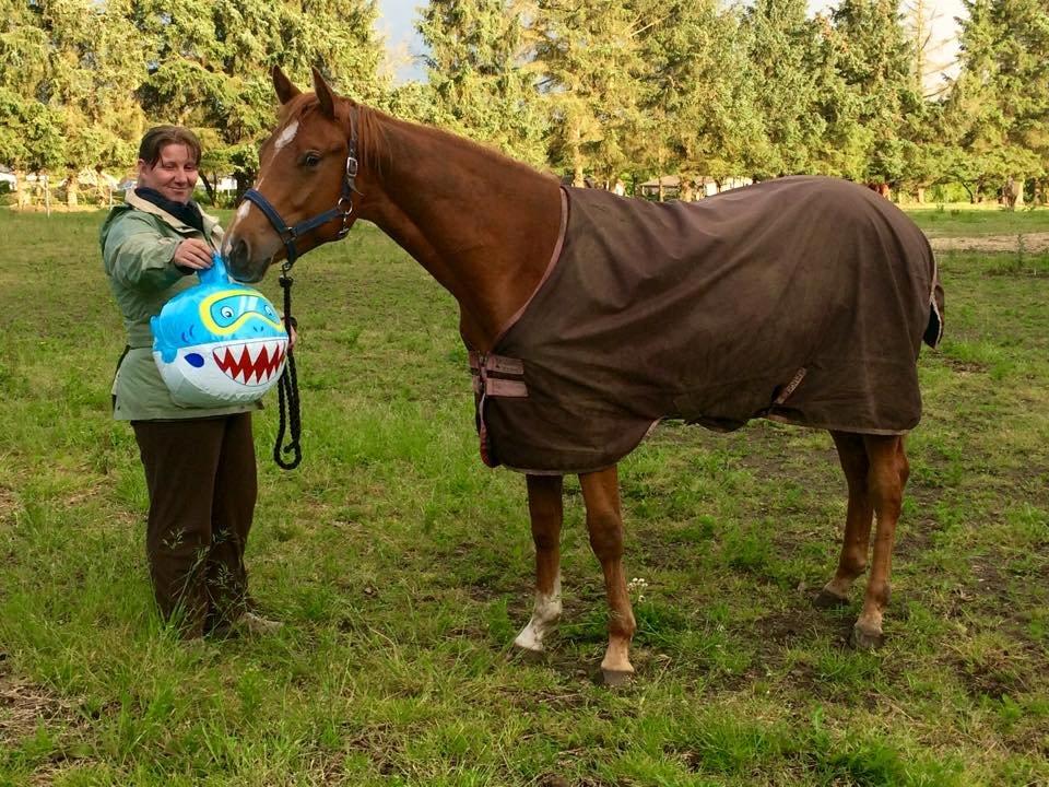 Quarter Macs Good N Powerful billede 6