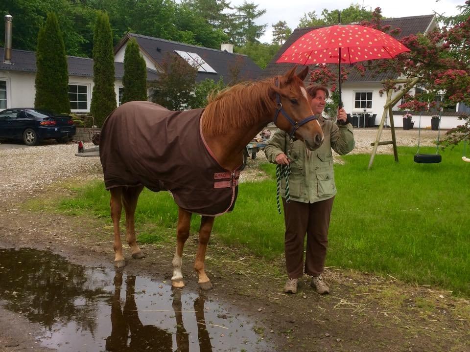 Quarter Macs Good N Powerful billede 7