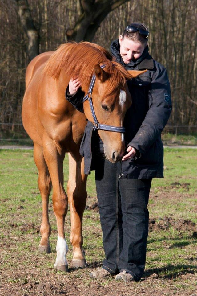 Quarter Macs Good N Powerful billede 5