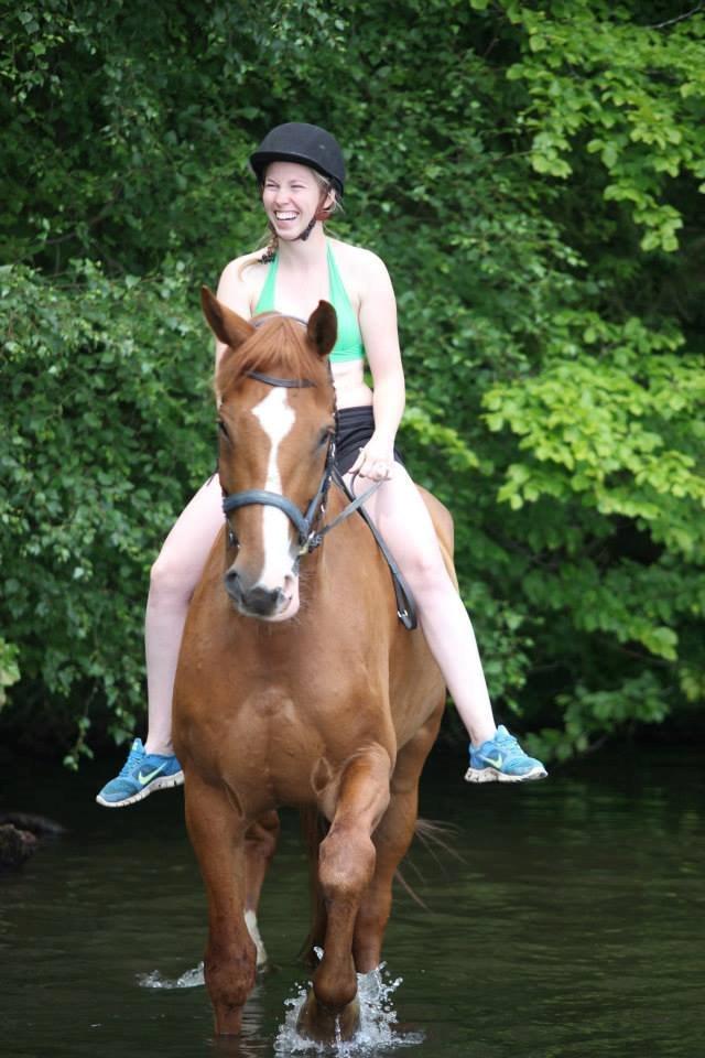Dansk Varmblod Storgaardens Rialto billede 31