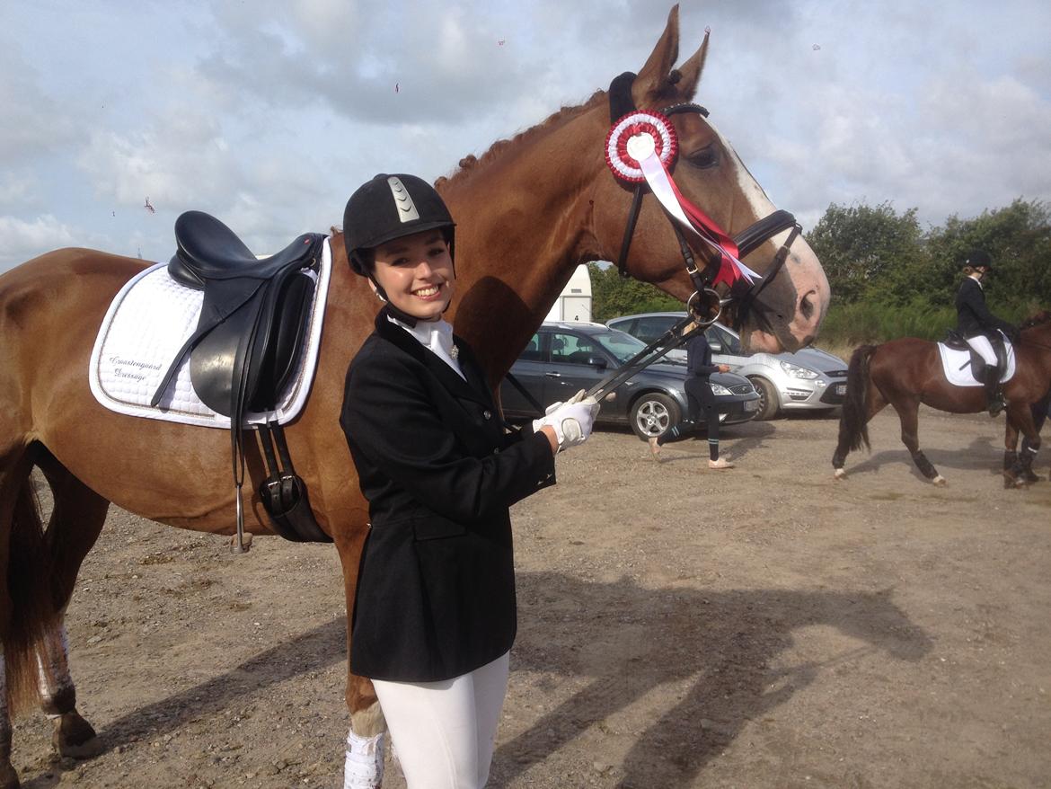 Dansk Varmblod Miró billede 12