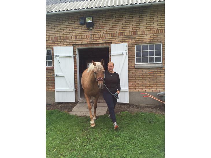 {{currentPhoto.altText}} billede {{currentPhoto.number}}