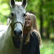 Anden særlig race Mon Cherie (Himmelhest)