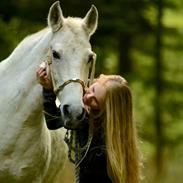 Anden særlig race Mon Cherie (Himmelhest)