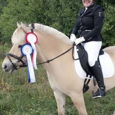 Fjordhest Fønix Frede [Tidl. part]