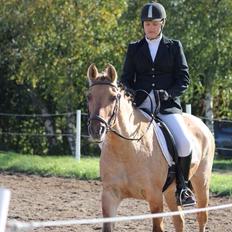 Anden særlig race Sally