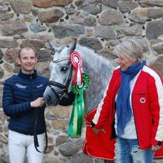 New Forest AB Jetstream