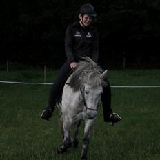 Islænder Disa fra Fruerlund *lånehest*