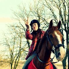 Anden særlig race Safir