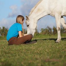 Anden særlig race Michilin