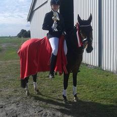 Tysk Sportspony Candy