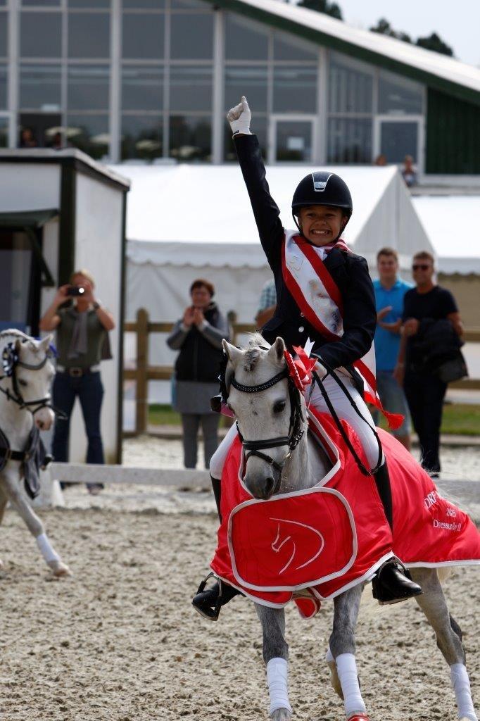 Welsh Pony (sec B) Clausholm Lord Joker Danmarksmester kat III 2015 - Vinder af DM Kat III 2015 billede 2