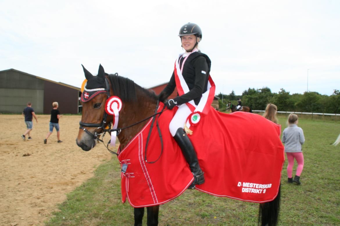 Anden særlig race kiara - Distrikts mestre 2015  billede 8