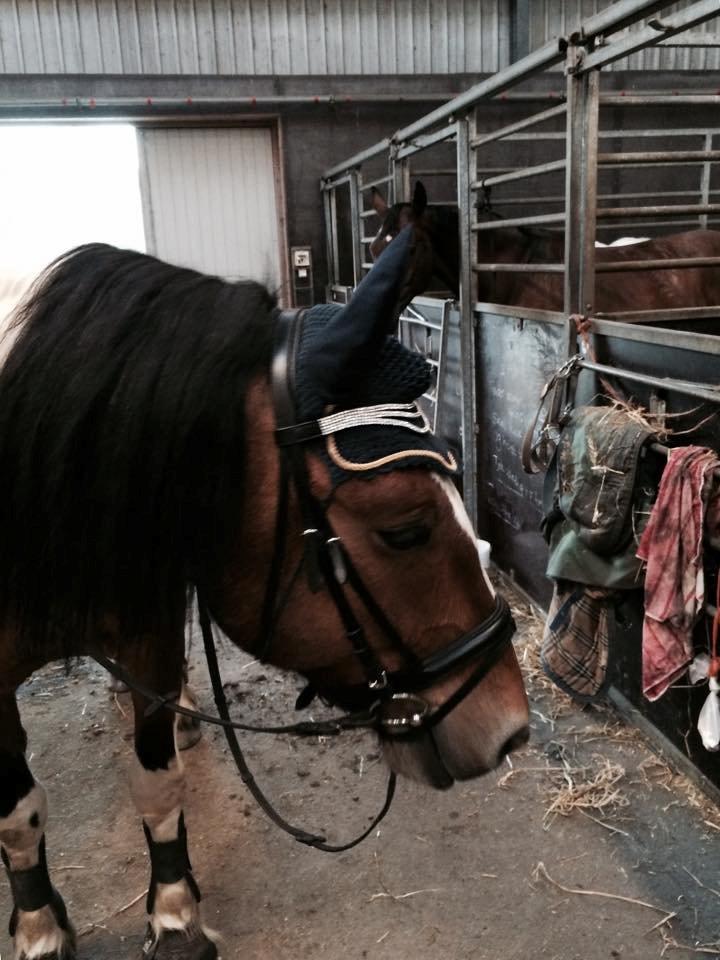 Tinker Kenzo  billede 8