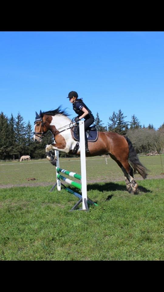 Tinker Kenzo  billede 9