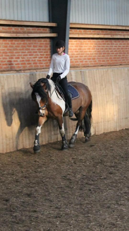 Tinker Kenzo  billede 11