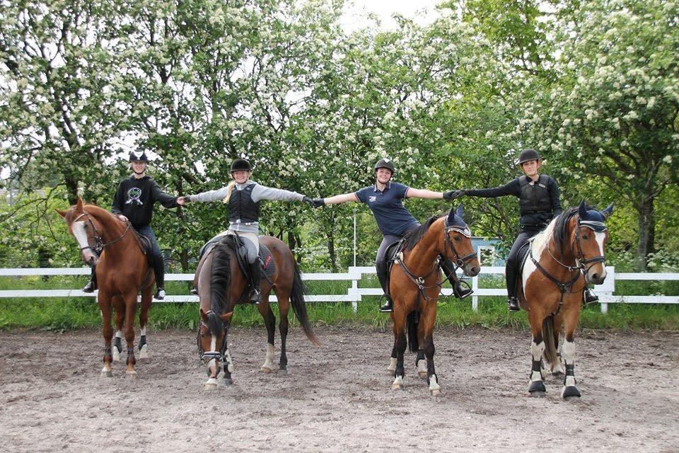 Tinker Kenzo  billede 13