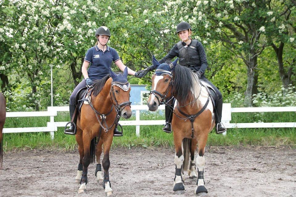 Tinker Kenzo  billede 14