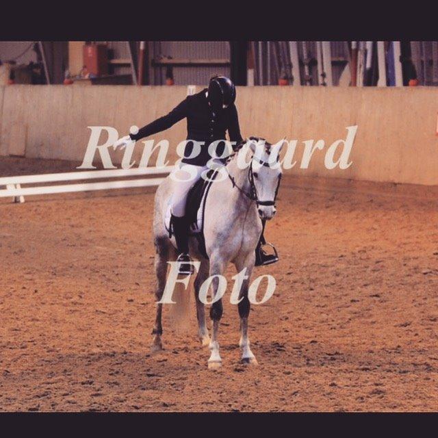 DSP Bakkegaarden's Triple Perfect - Afslutningsparade :) billede 6