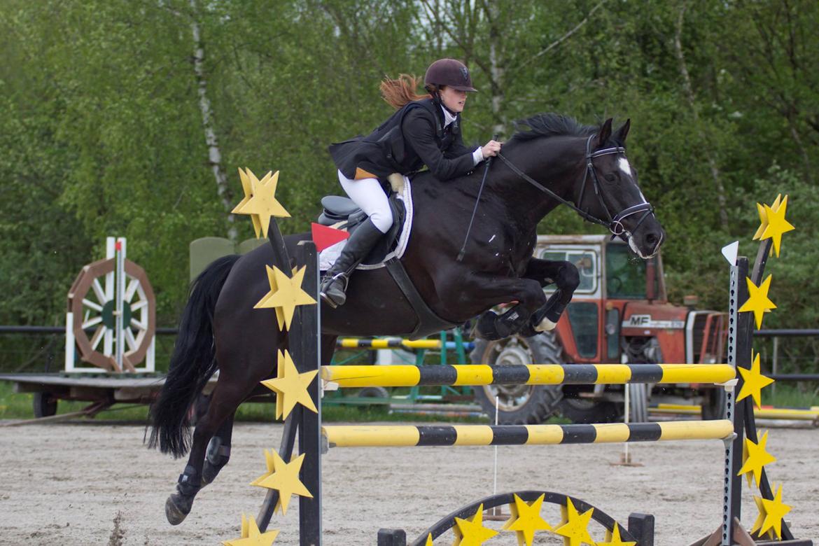 Oldenborg Kirsebærgårdens Mikado - Stævne på BAL - Maj 2015 billede 18