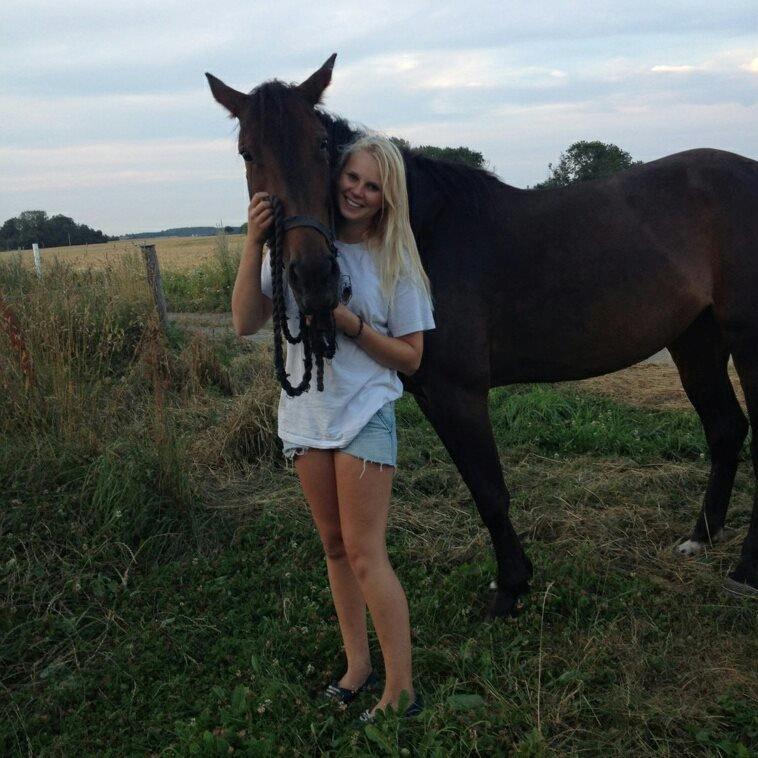 Traver Havanna Sisu (pusle) - Sommer 2013! min bedste veninde og Havanna <3 billede 2