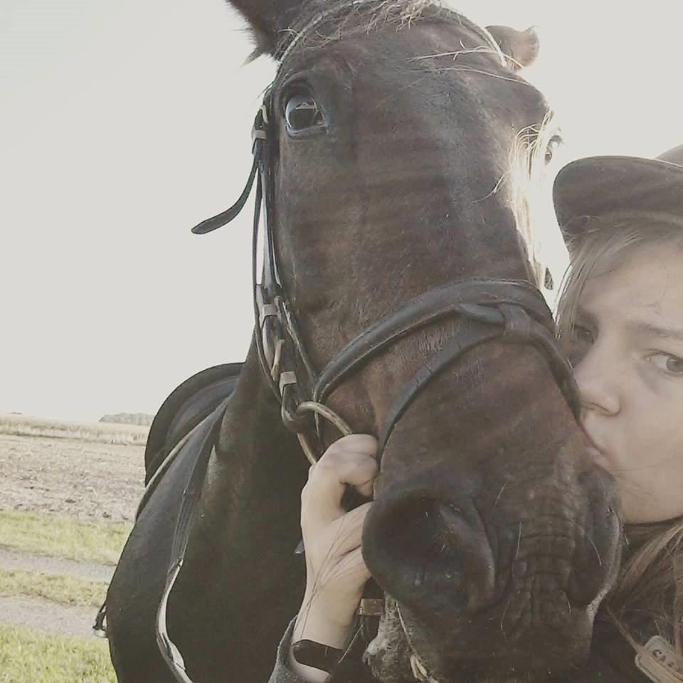 Traver Havanna Sisu (pusle) billede 7