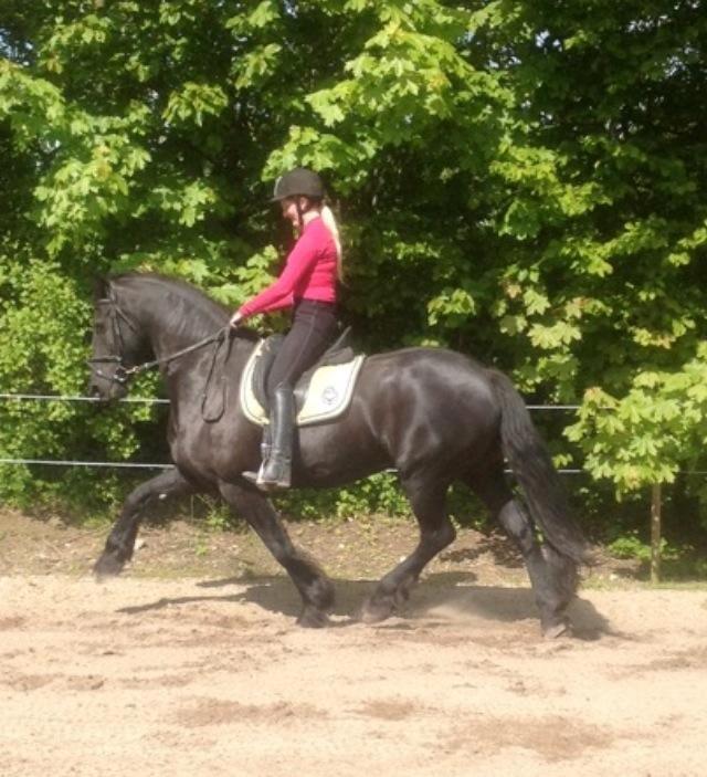 Frieser Gaia Hvalløs billede 1