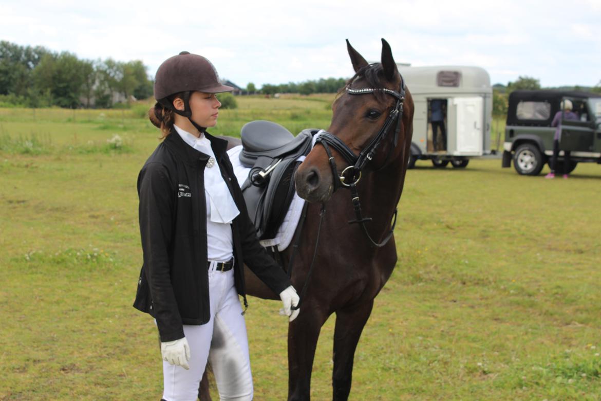 DSP Pralina Vrå billede 4