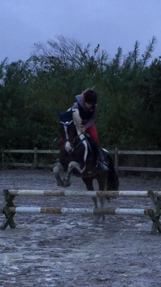 Pinto Vadekærgårds lille my billede 6