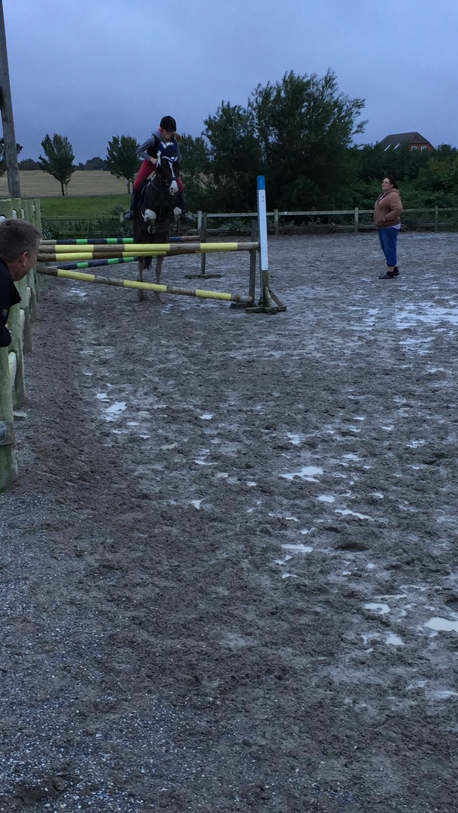 Pinto Vadekærgårds lille my billede 10