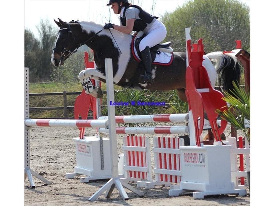 Pinto Vadekærgårds lille my billede 7