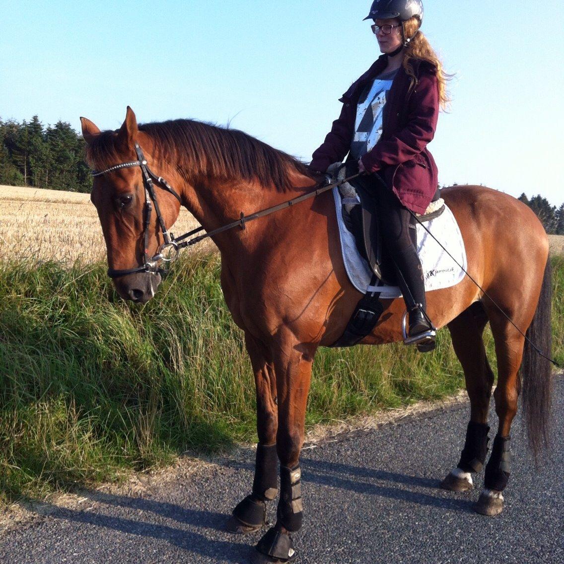 Traver Famous Skovbjerg billede 6