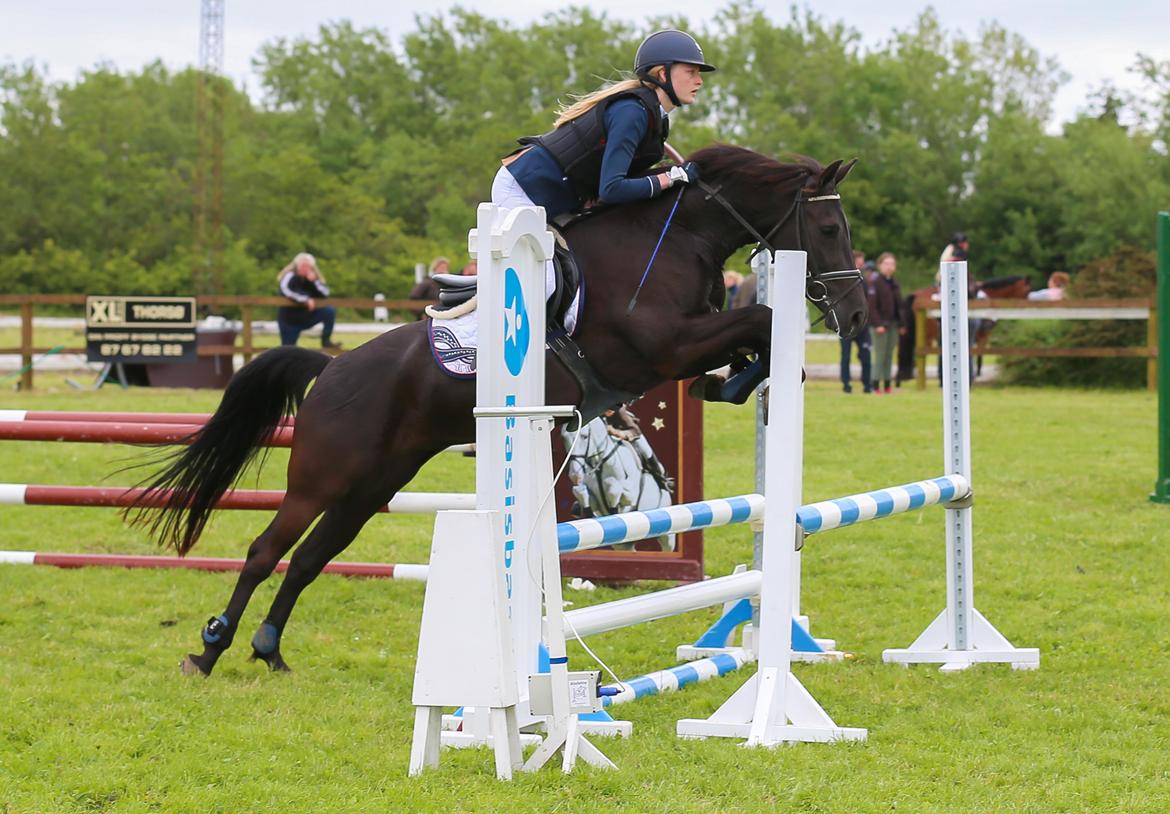 New Forest Egeballes Timian billede 9