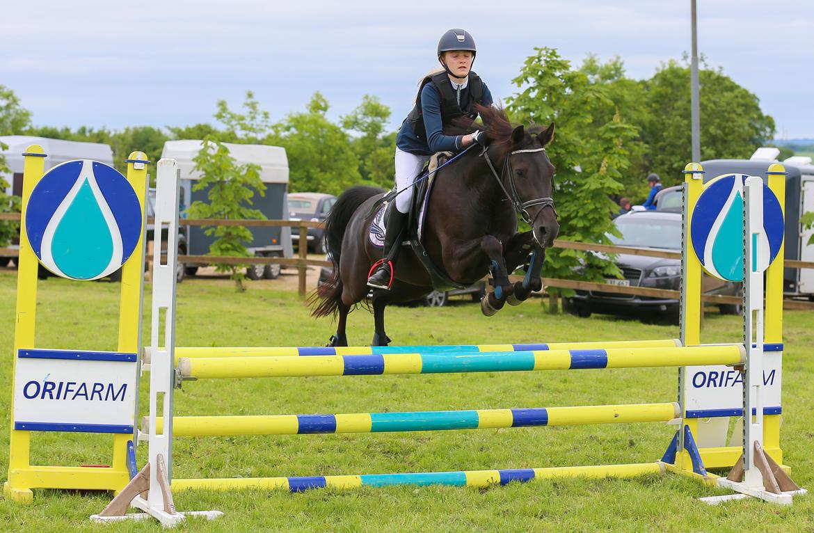 New Forest Egeballes Timian billede 16