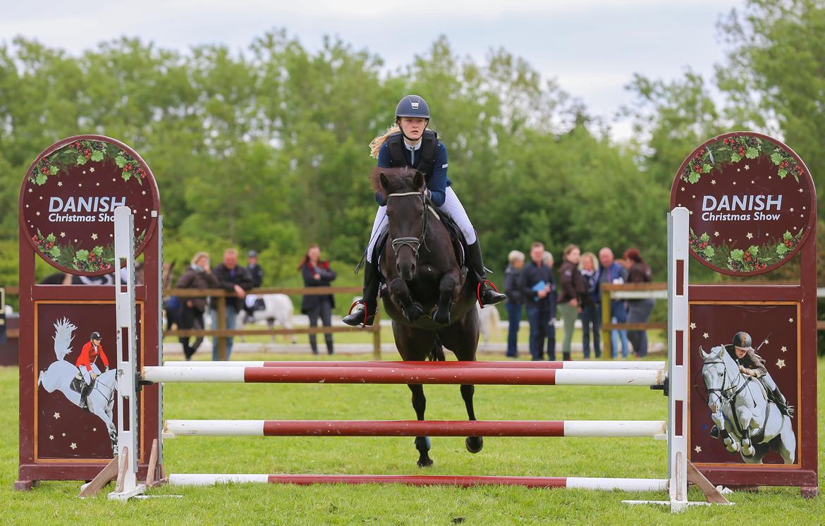 New Forest Egeballes Timian billede 13