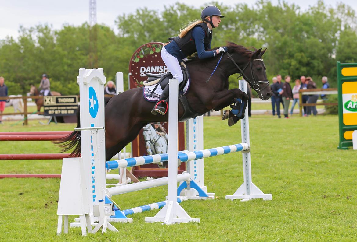 New Forest Egeballes Timian billede 25