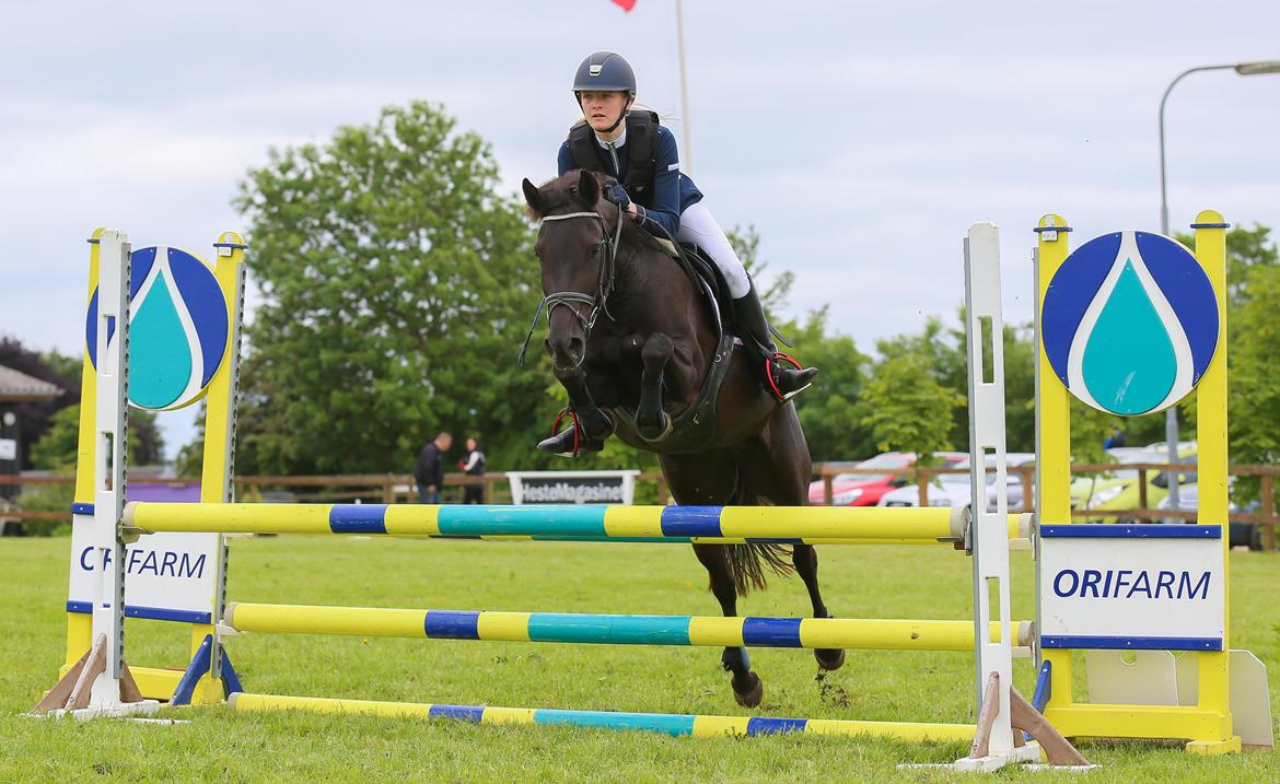 New Forest Egeballes Timian billede 1