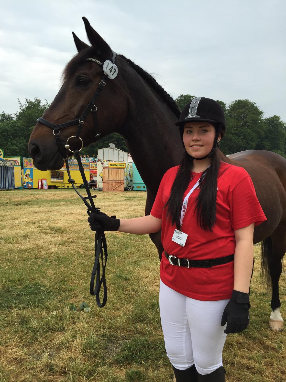 Dansk Varmblod Shadow  billede 14